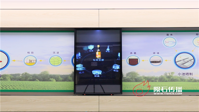 东古酱油展厅数字内容